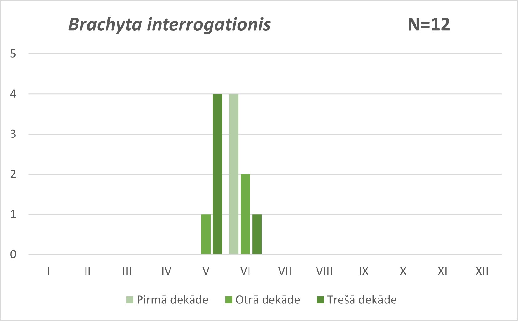 Brachyta interrogationis