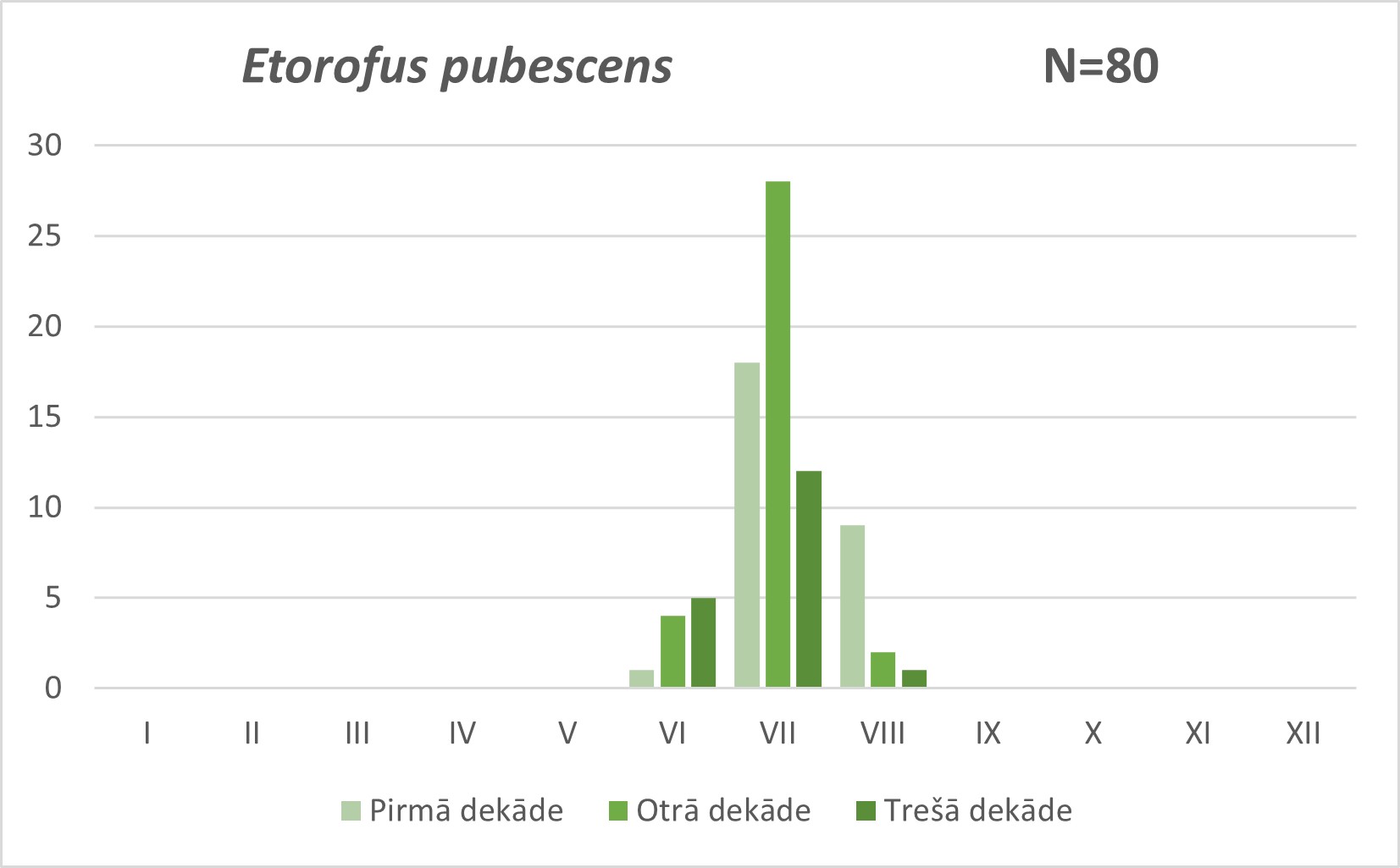 Etorofus pubescens