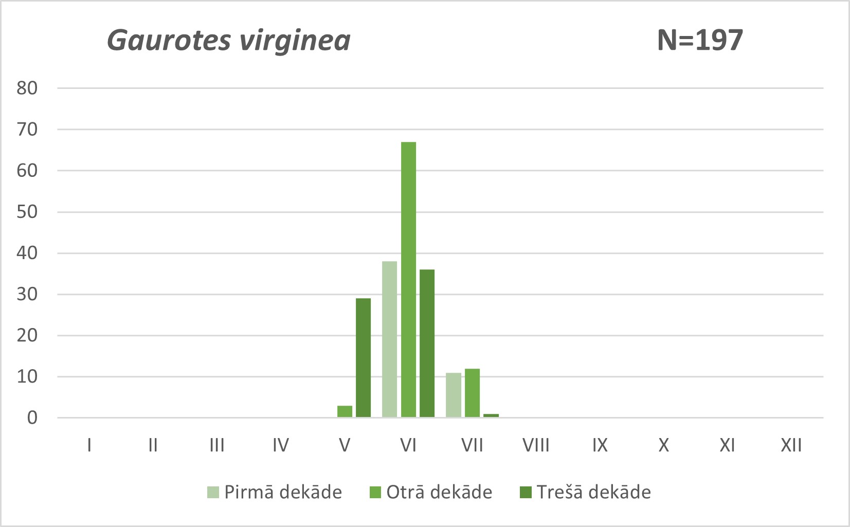 Gaurotes virginea