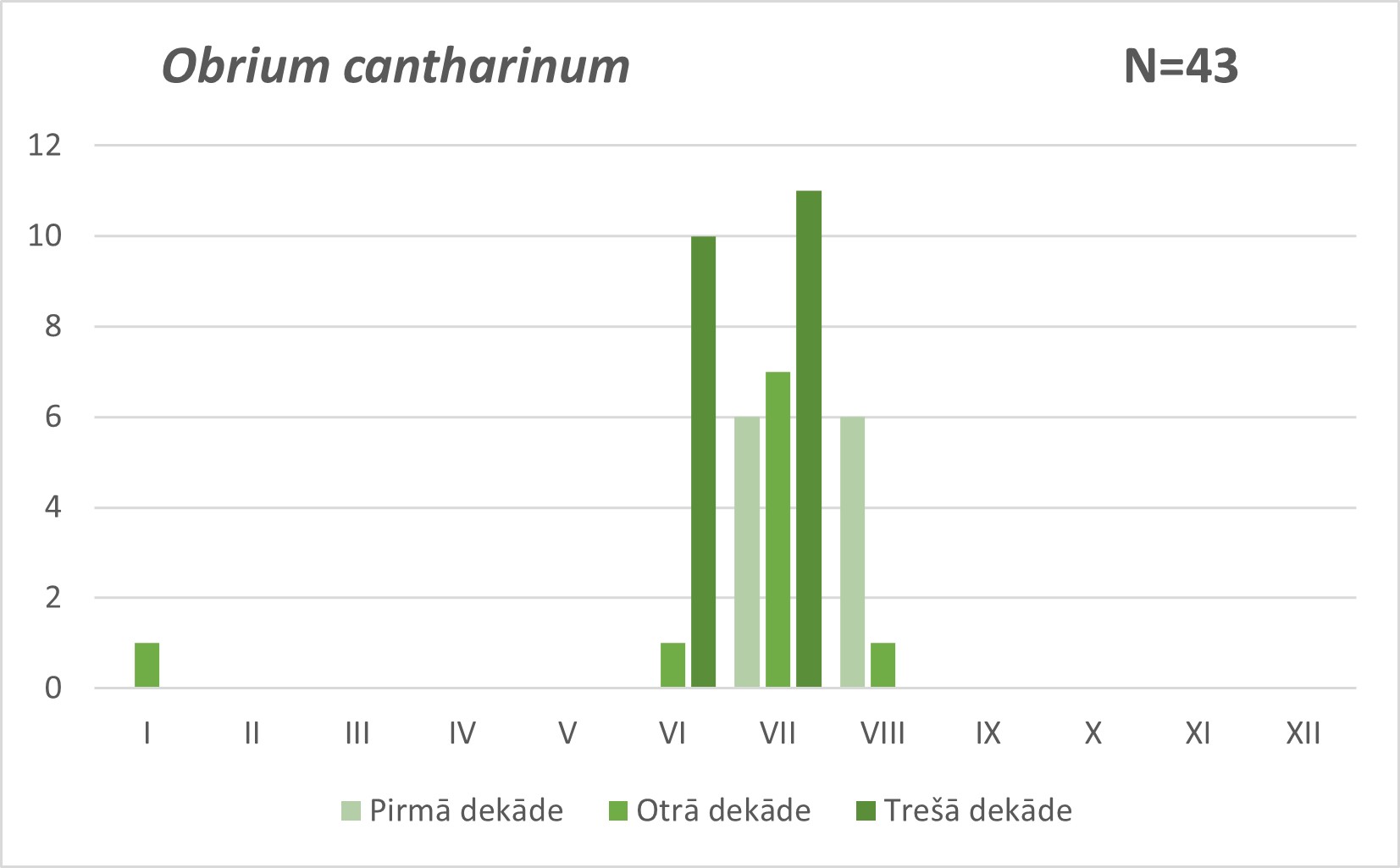 Obrium cantharinum