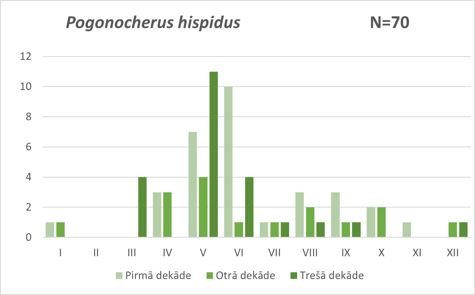 Pogonocherus hispidus
