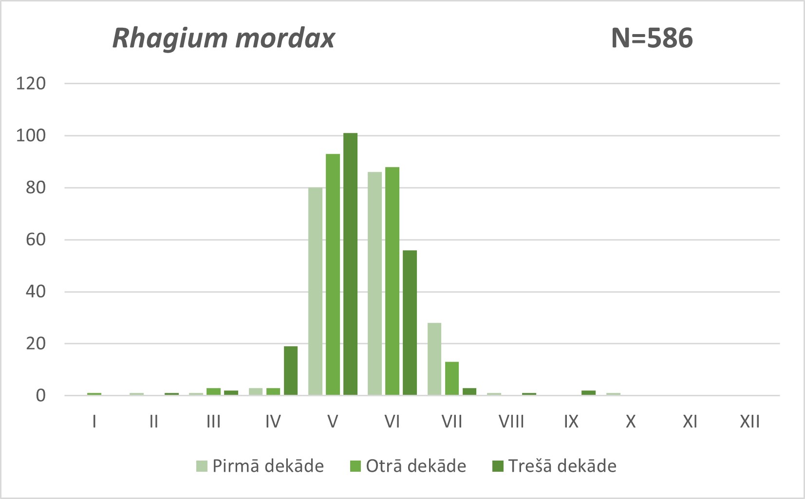Rhagium mordax