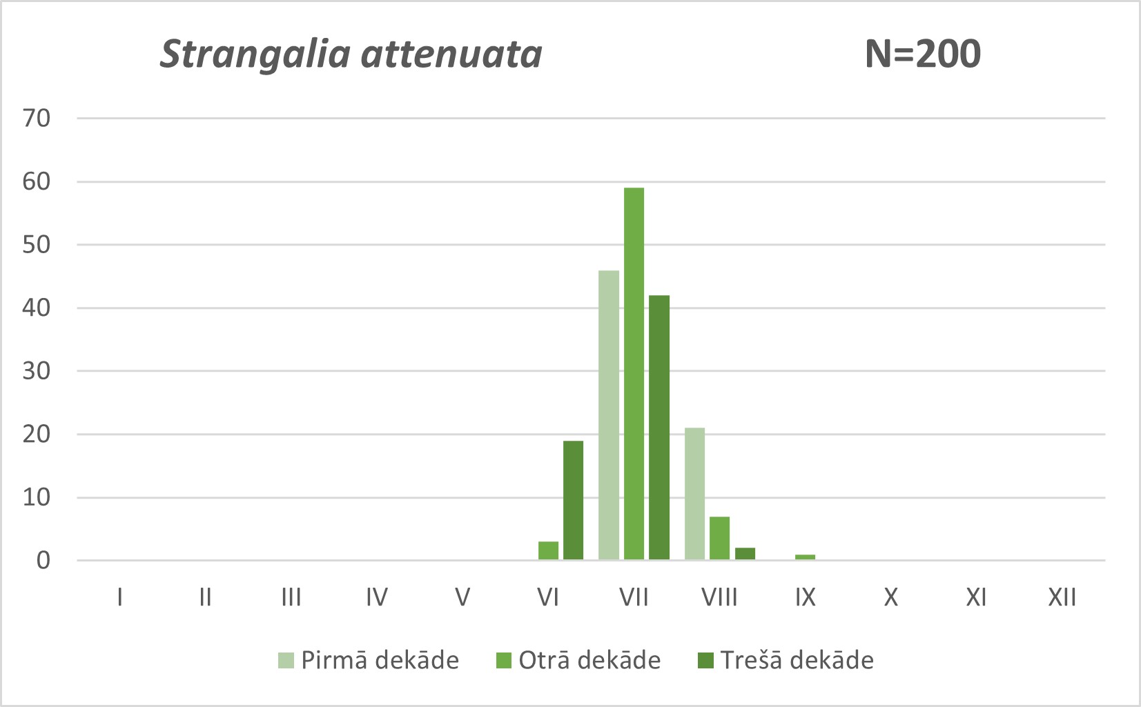 Strangalia attenuata