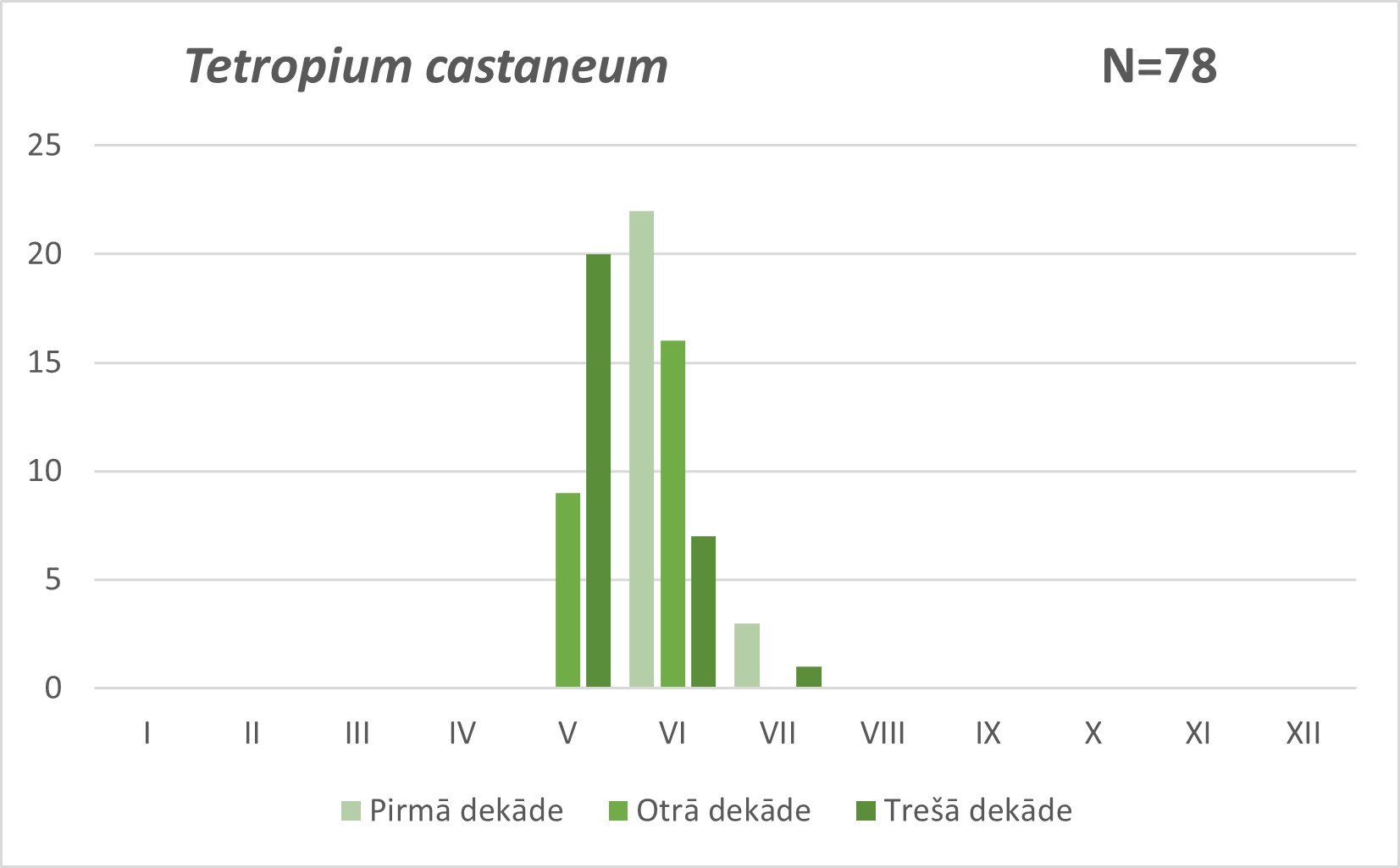 Tetropium castaneum