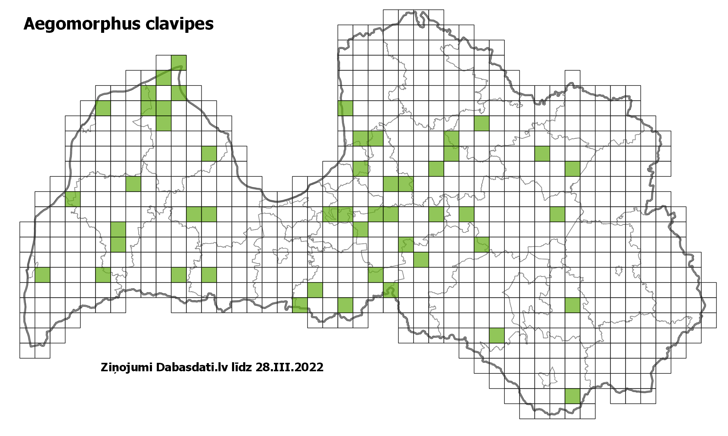 Aegomorphus clavipes
