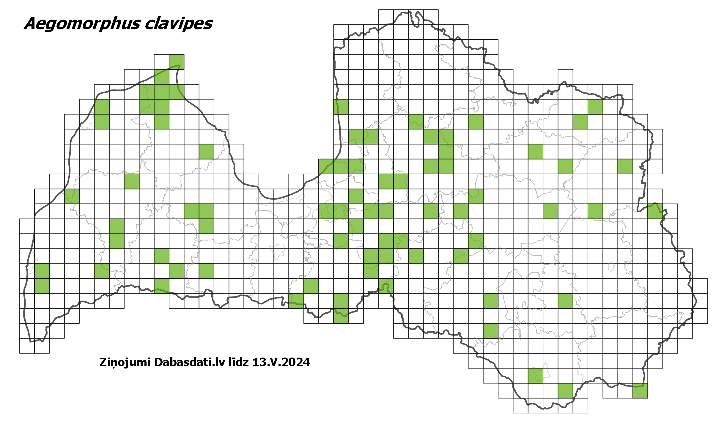 Aegomorphus clavipes
