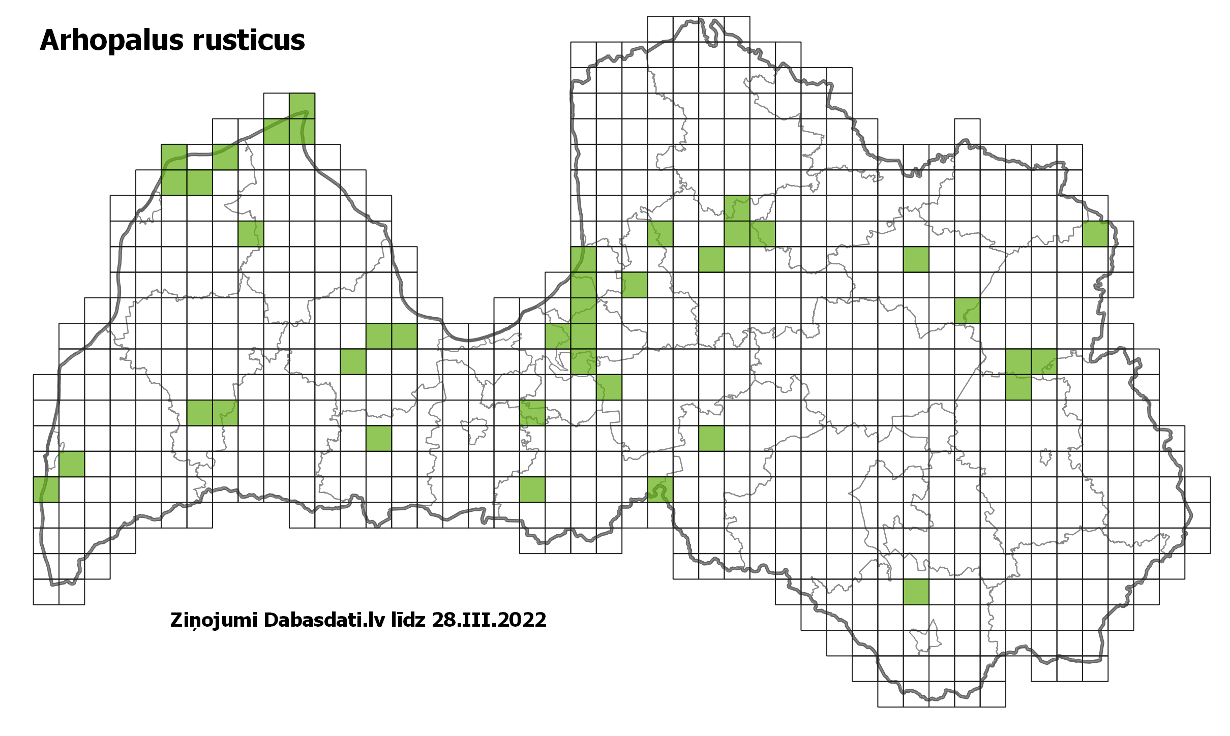 Arhopalus rusticus