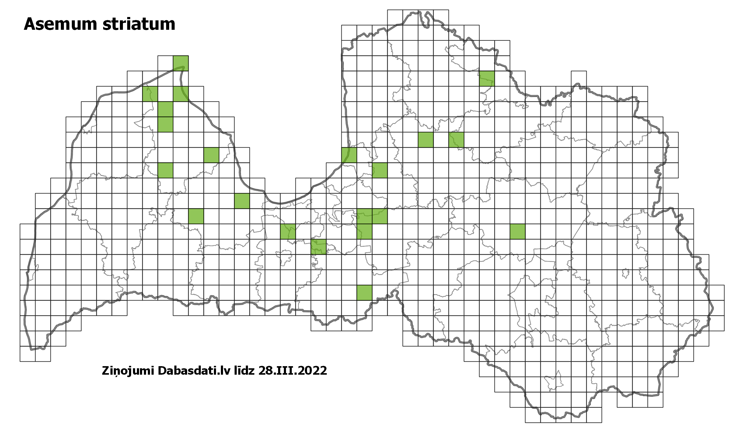 Asemum striatum