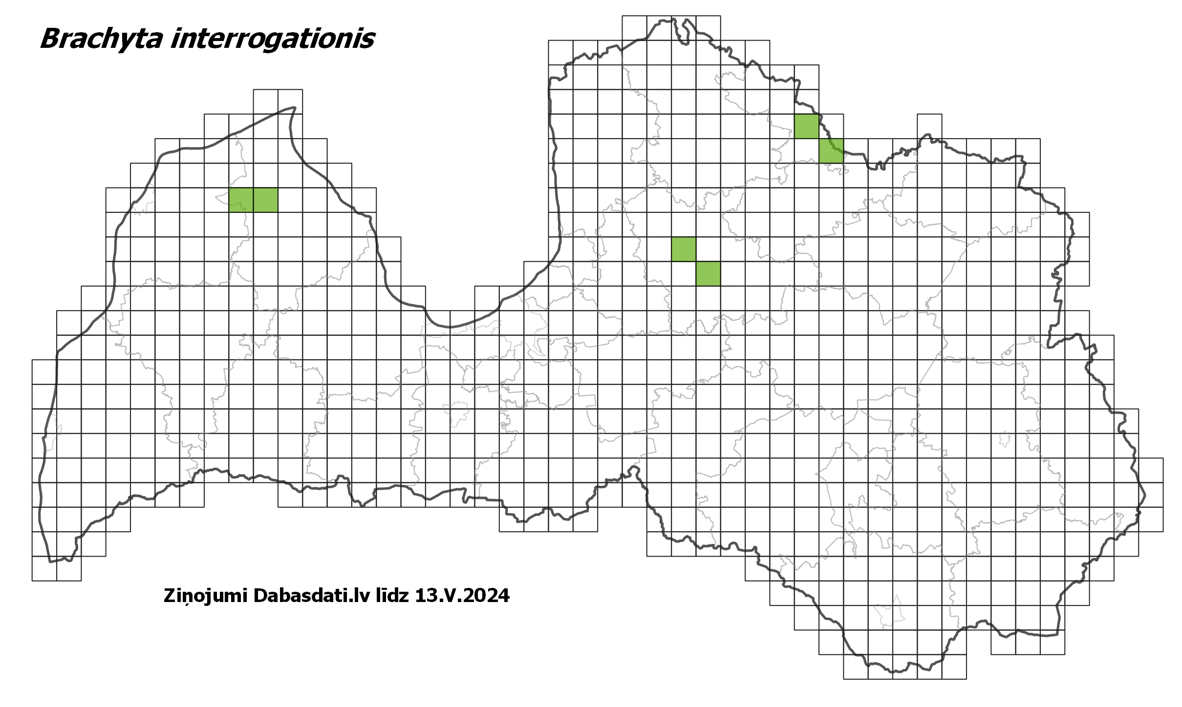 Brachyta interrogationis