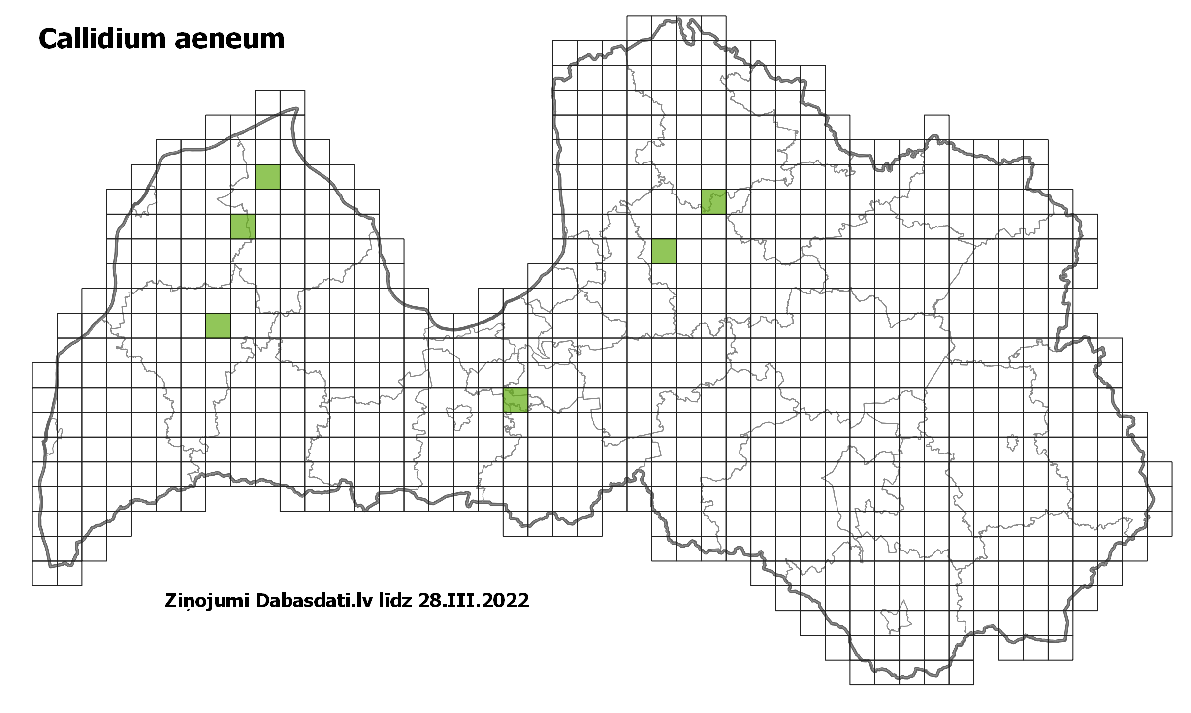 Callidium aeneum