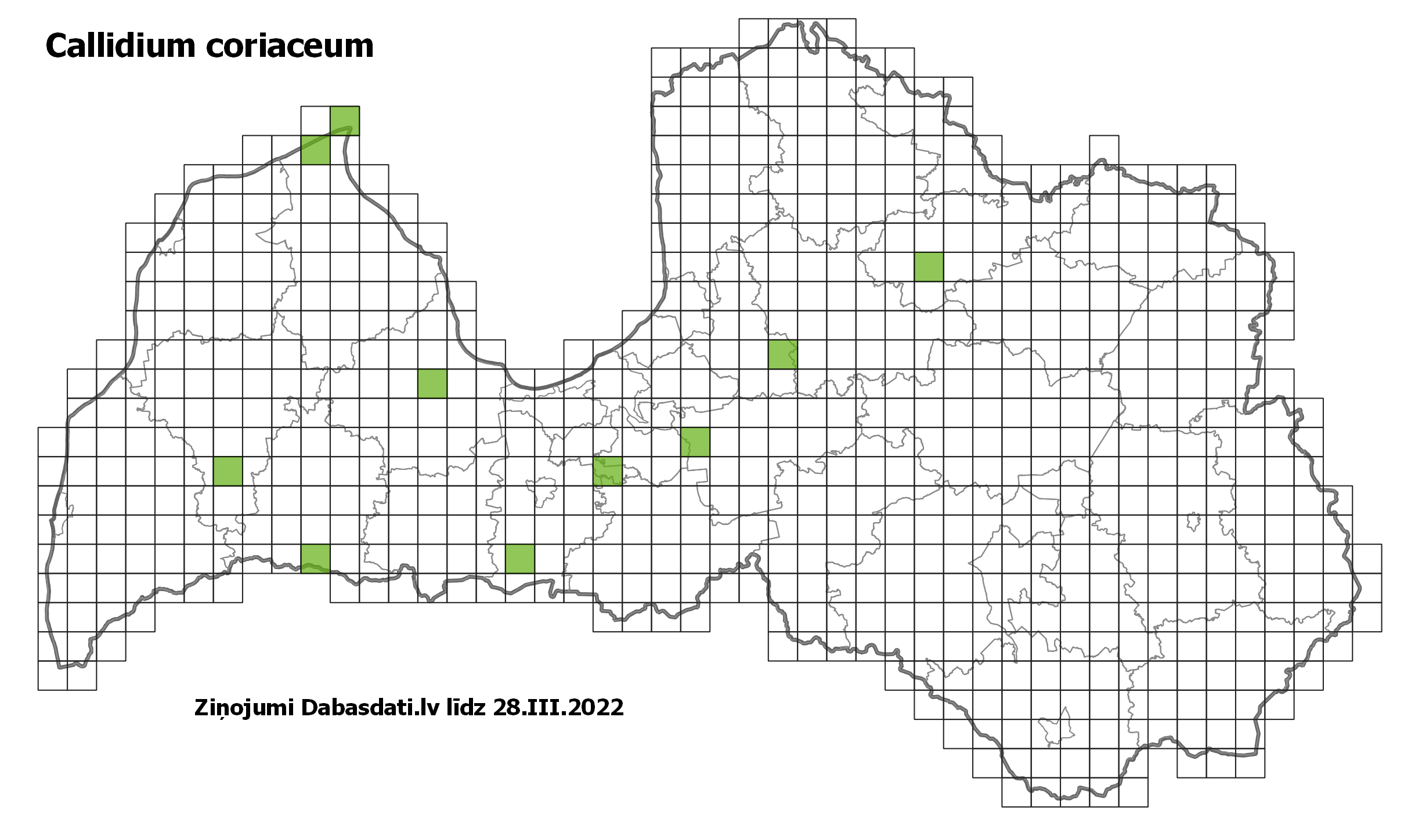 Callidium coriaceum