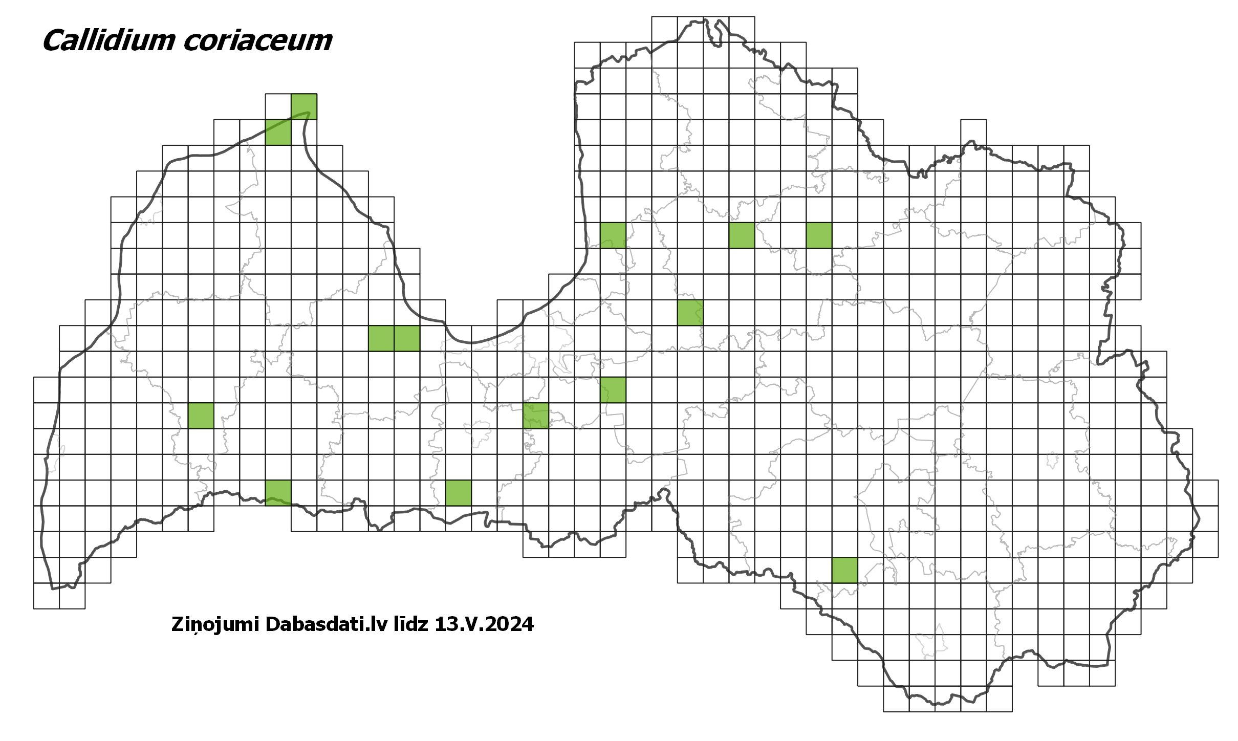 Callidium coriaceum