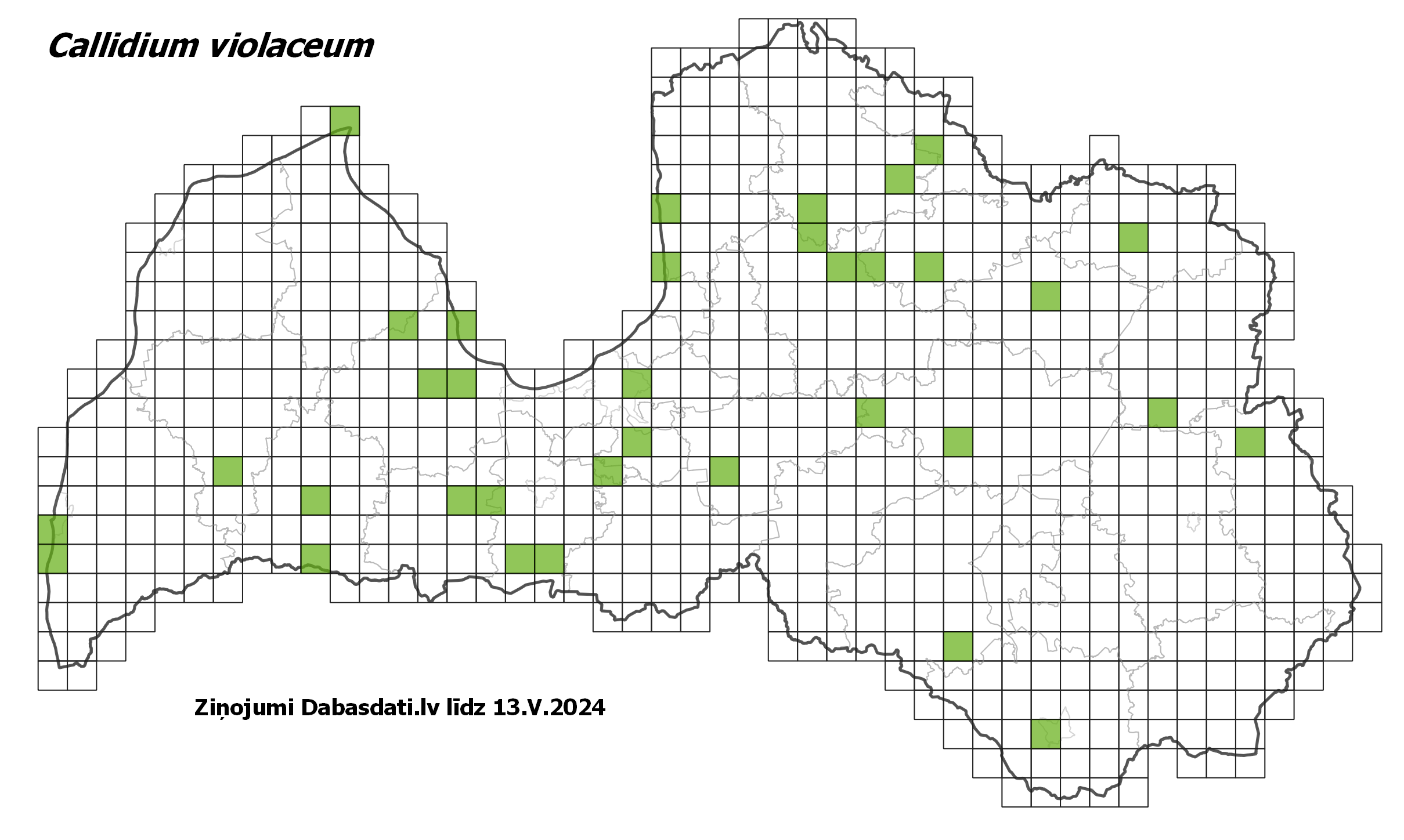 Callidium violaceum