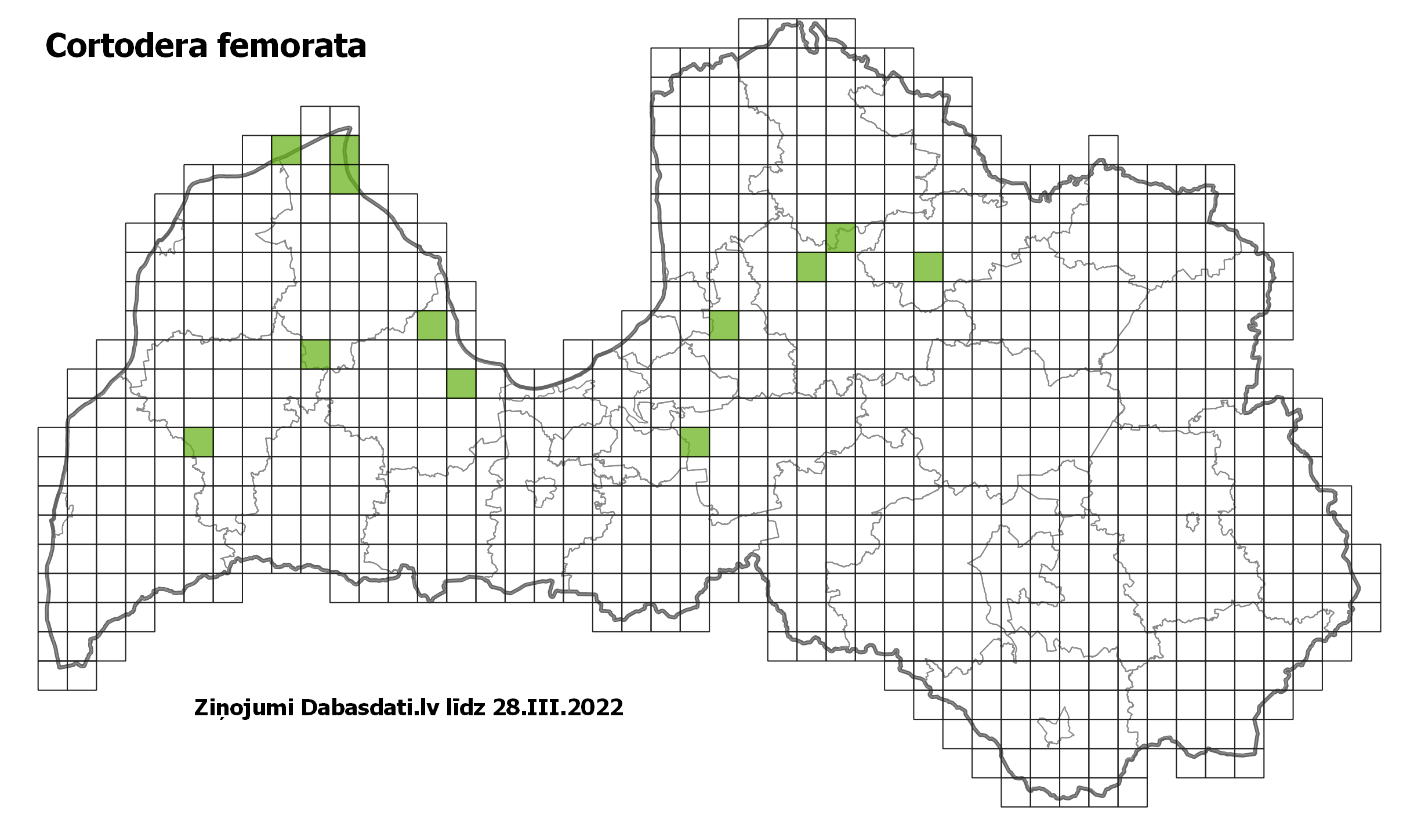 Cortodera femorata