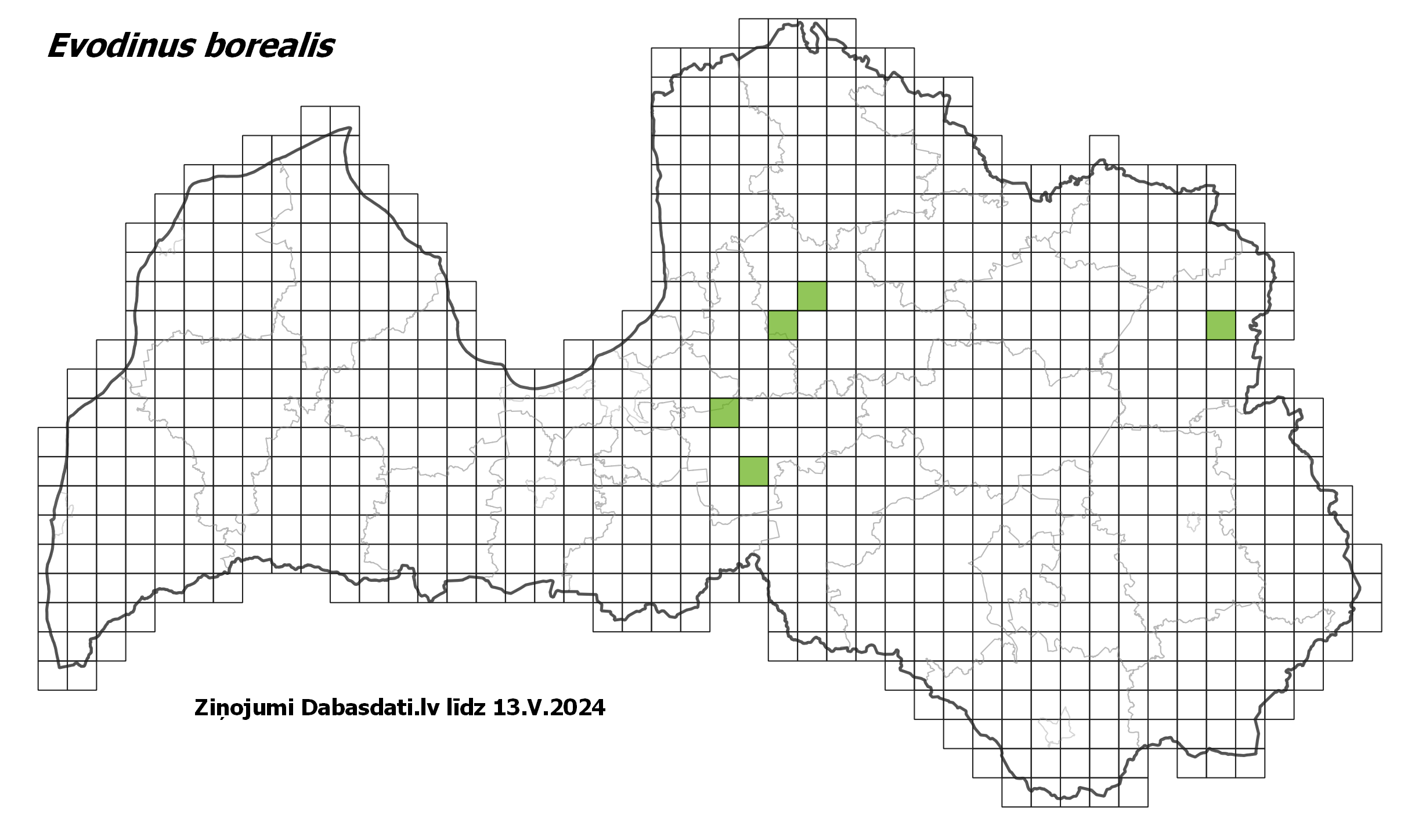 Evodinus borealis