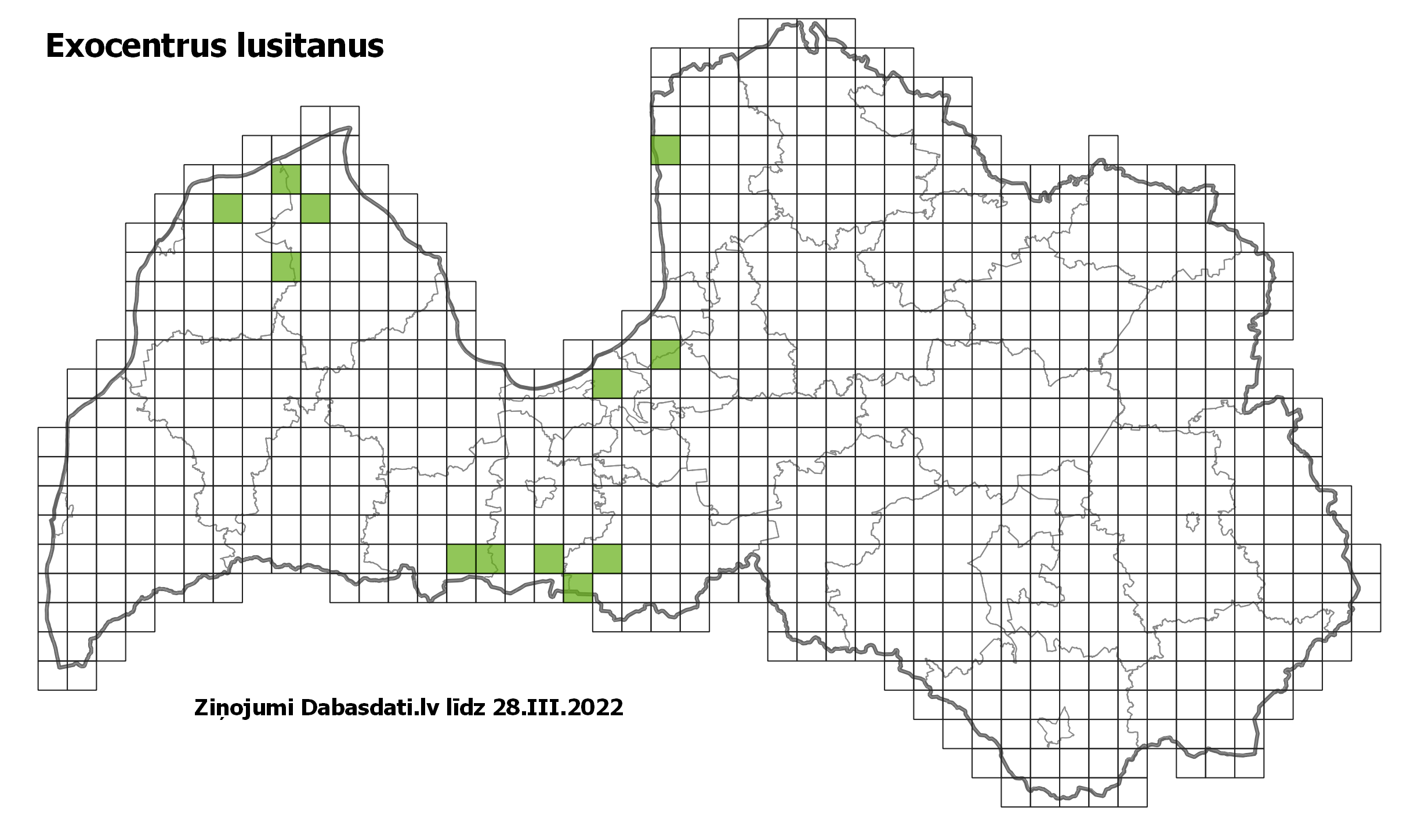 Exocentrus lusitanus