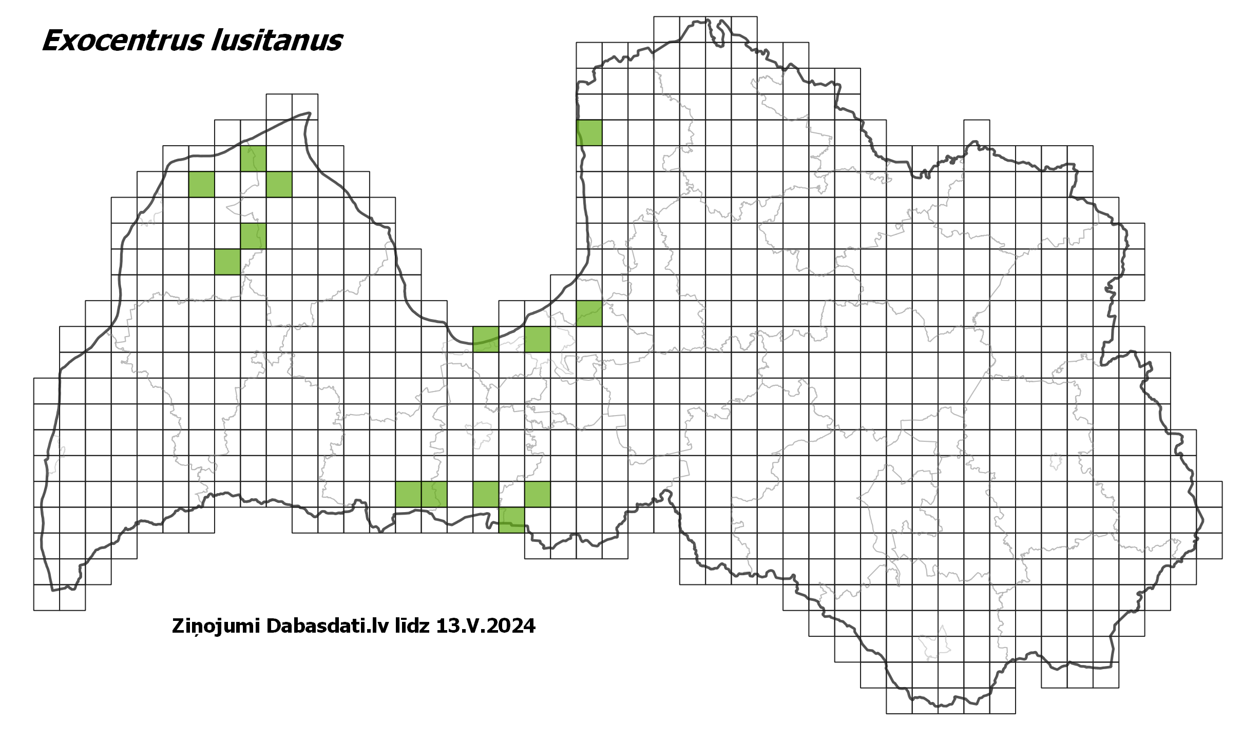 Exocentrus lusitanus