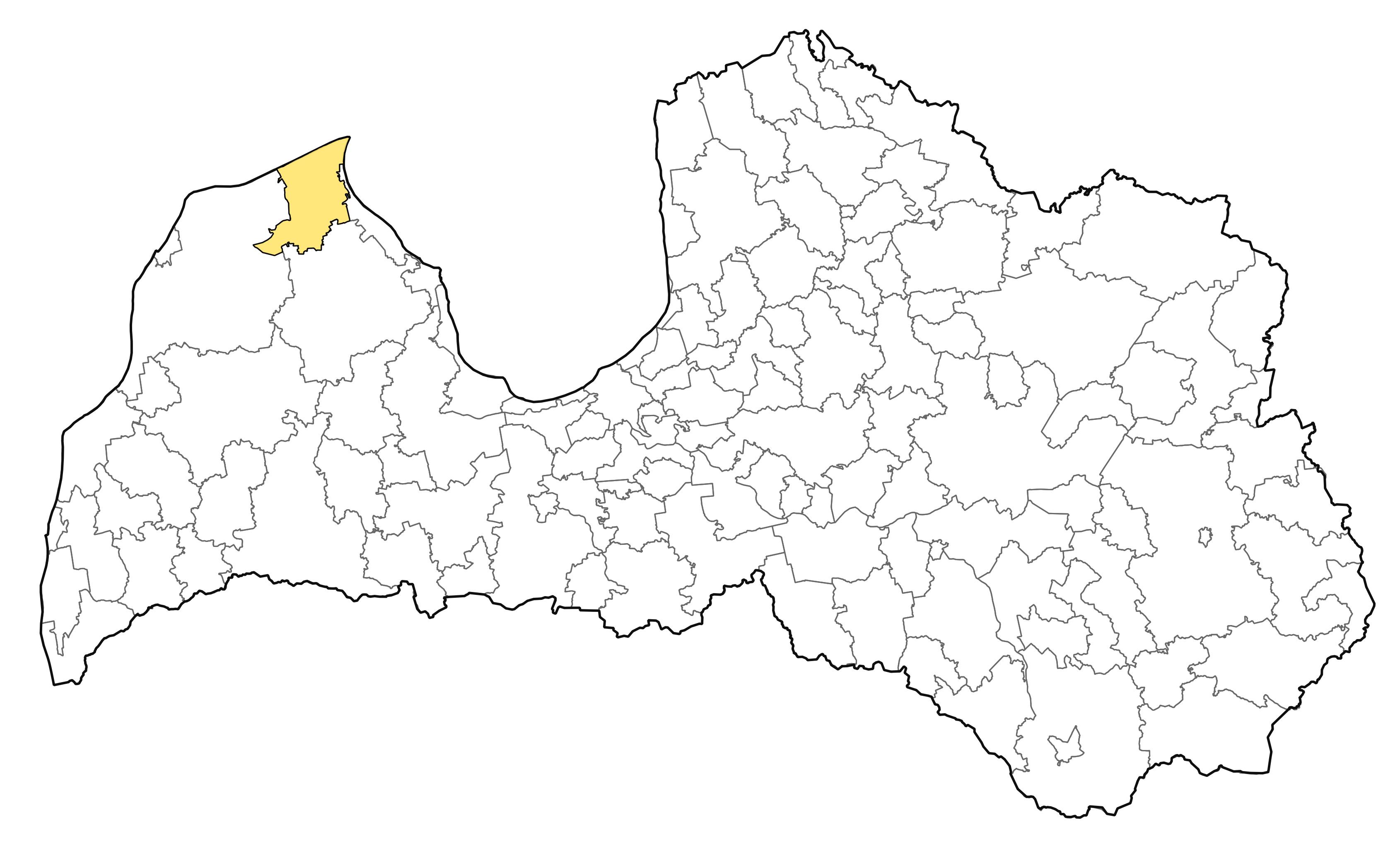Leioderes kollari