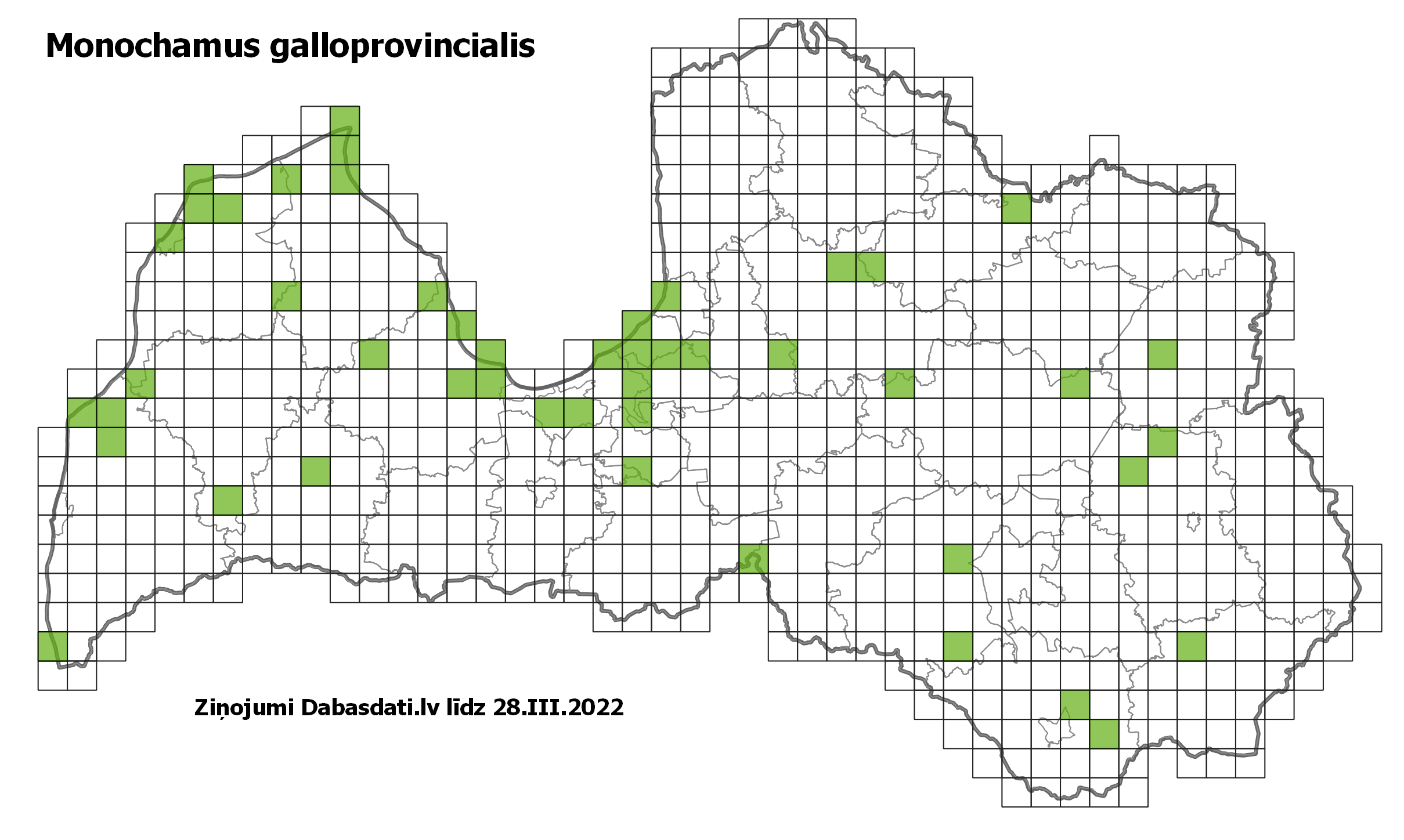 Monochamus galloprovincialis