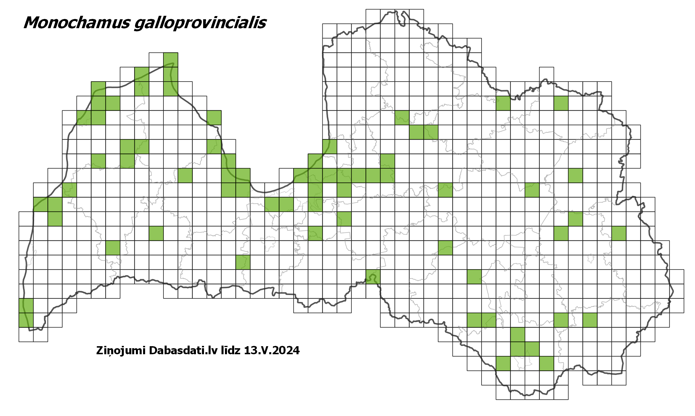 Monochamus galloprovincialis