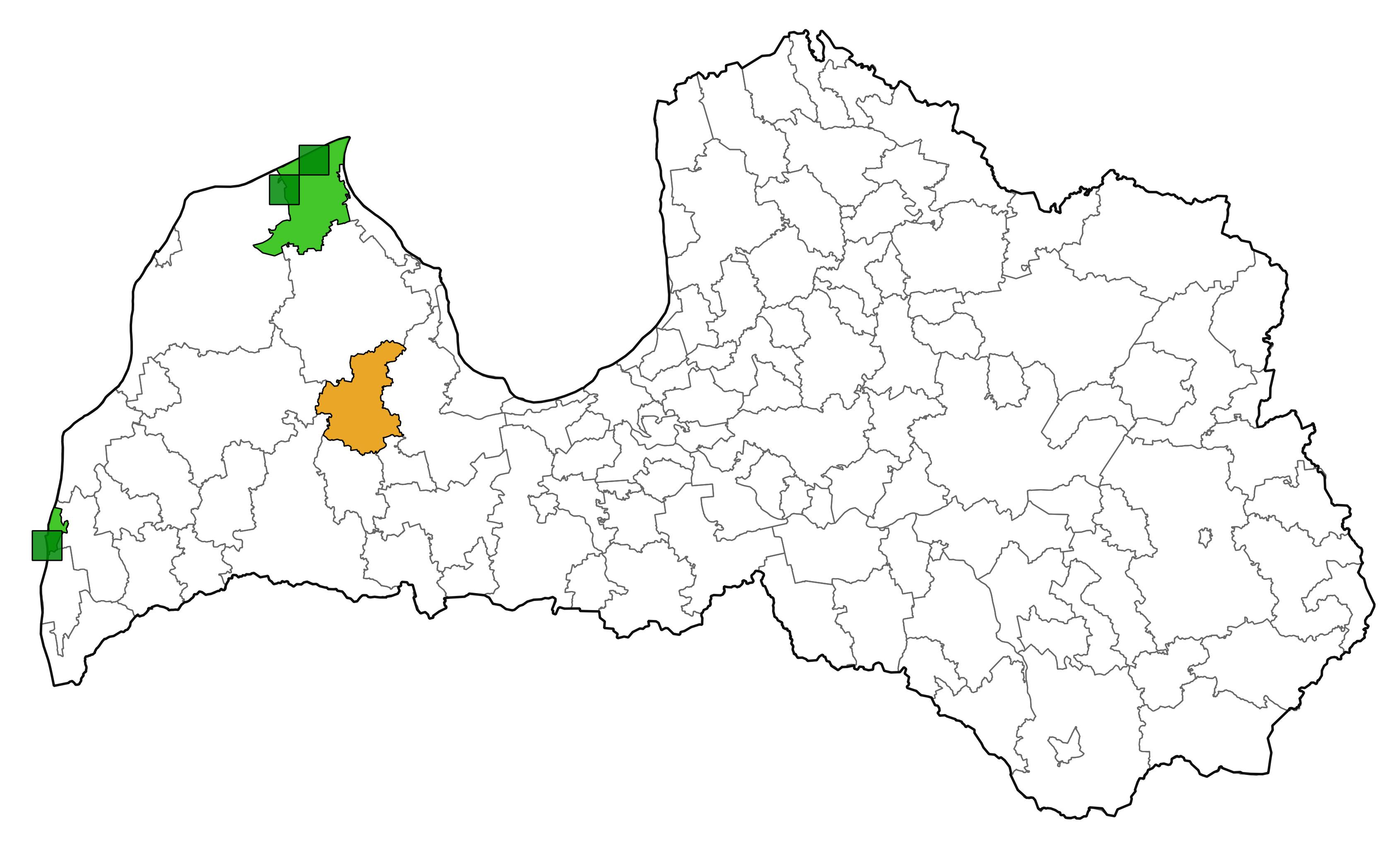 Obrium brunneum