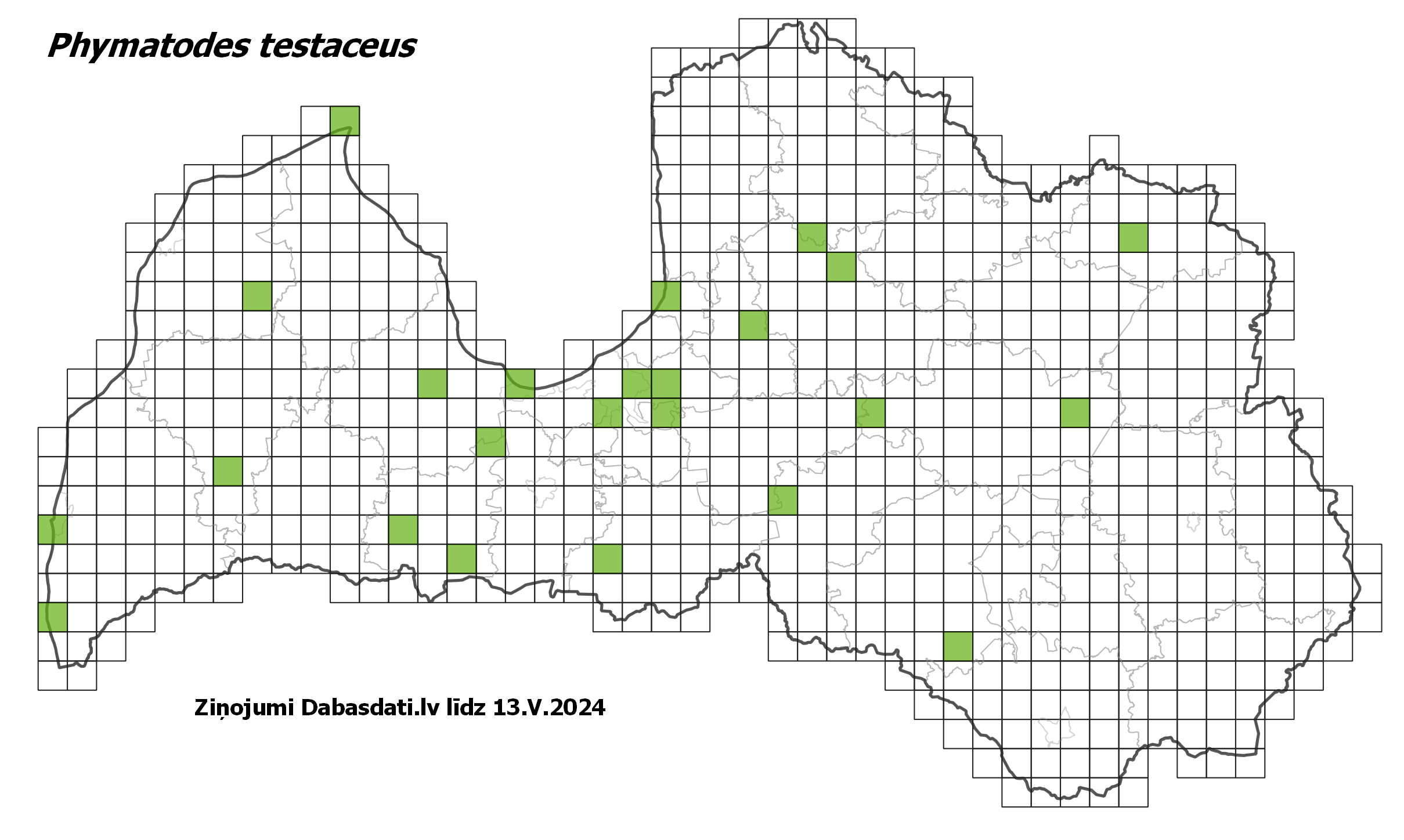 Phymatodes testaceus