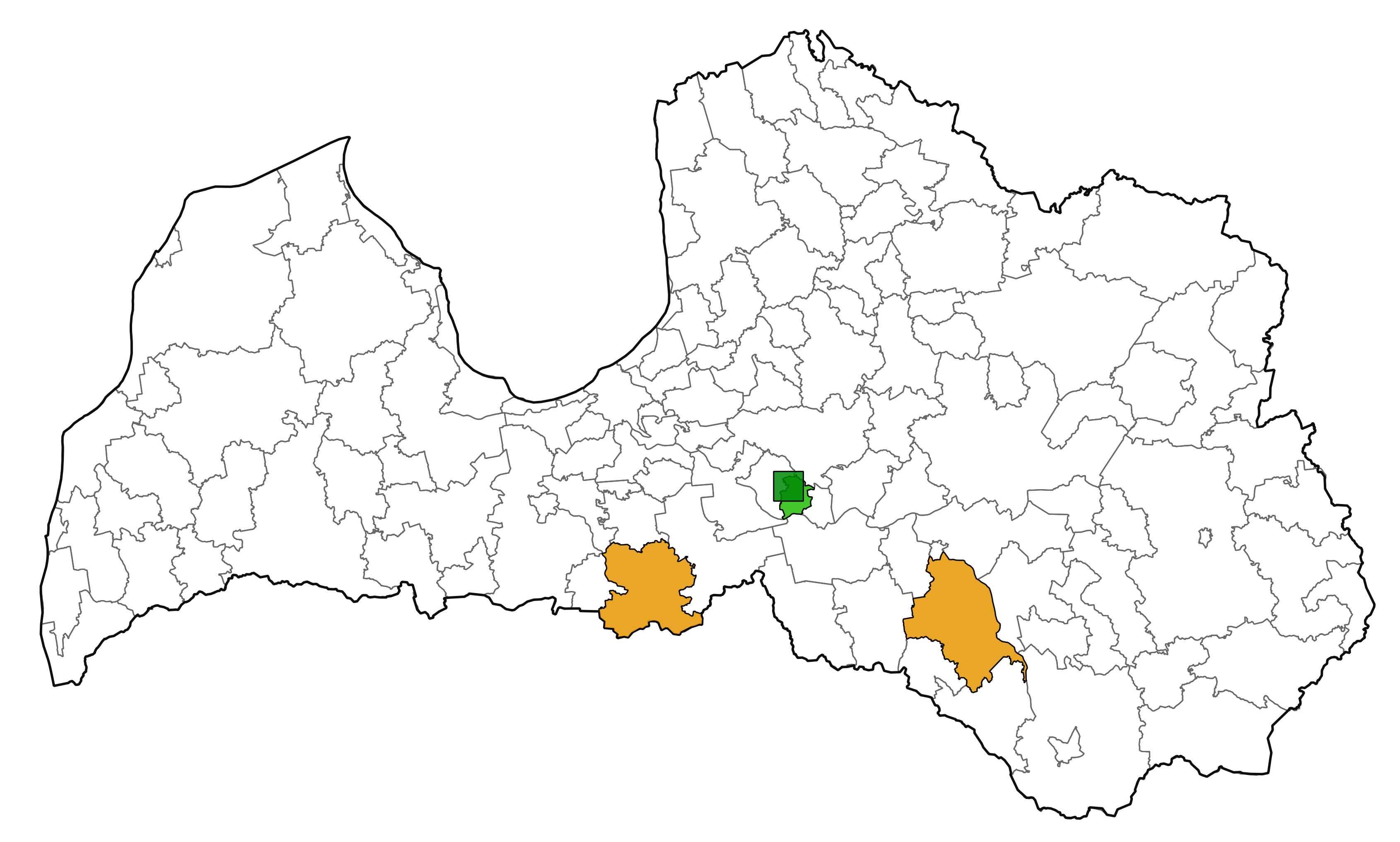 Poecilium alni