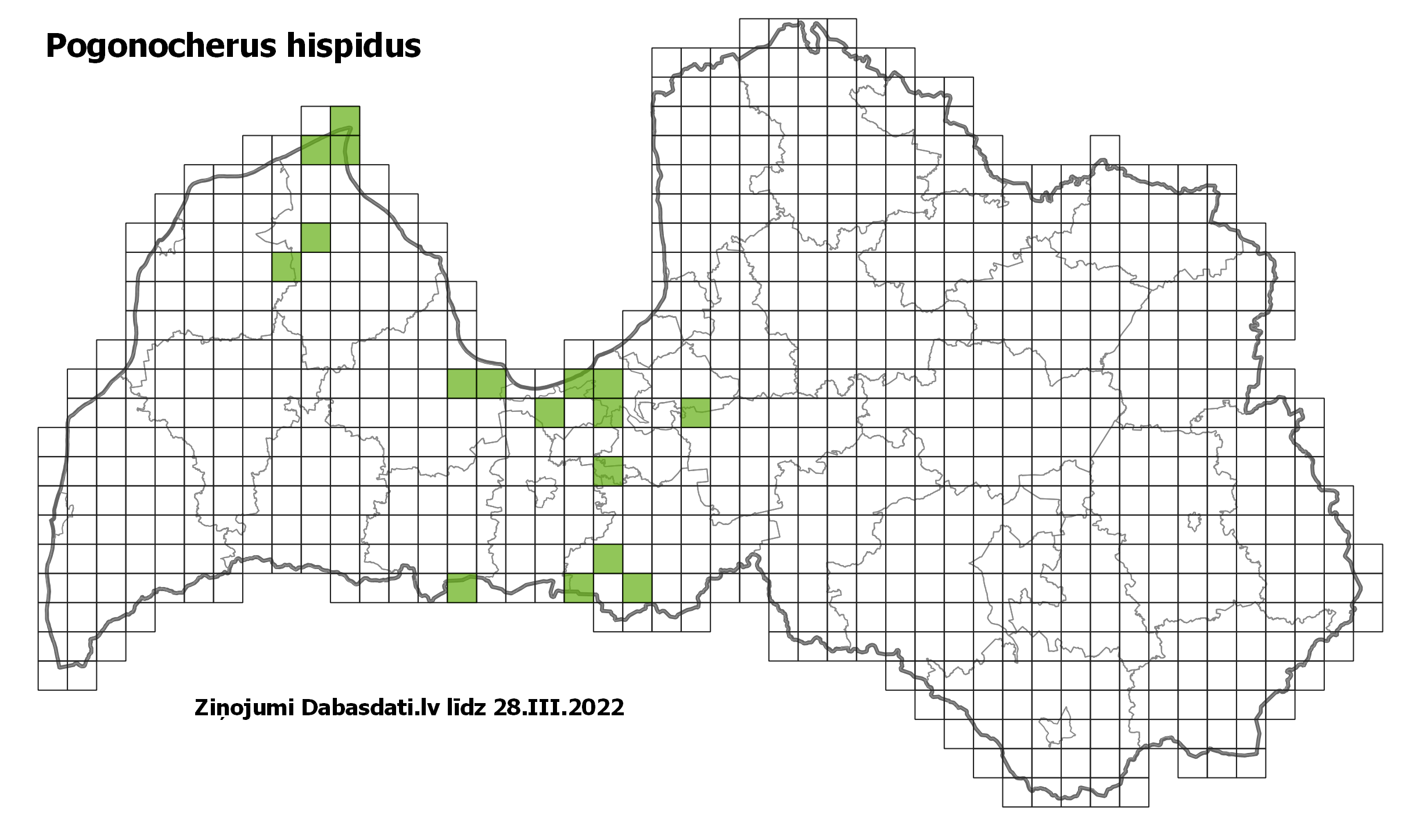 Pogonocherus hispidus