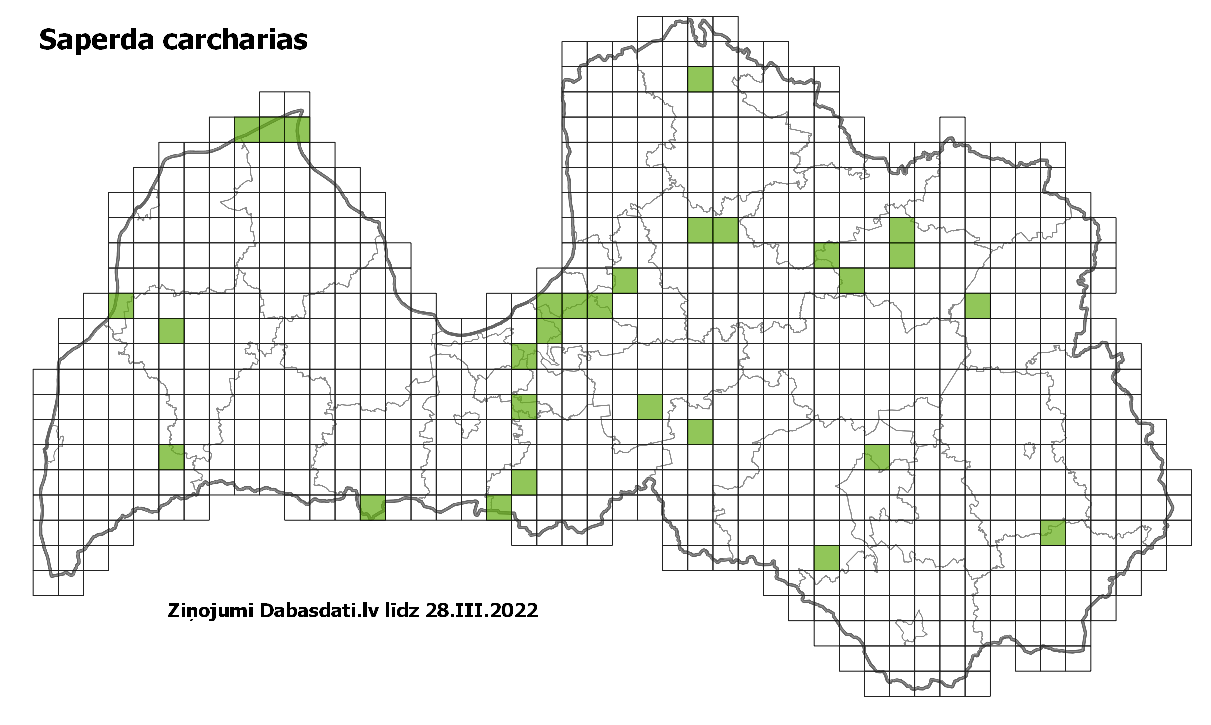 Saperda carcharias
