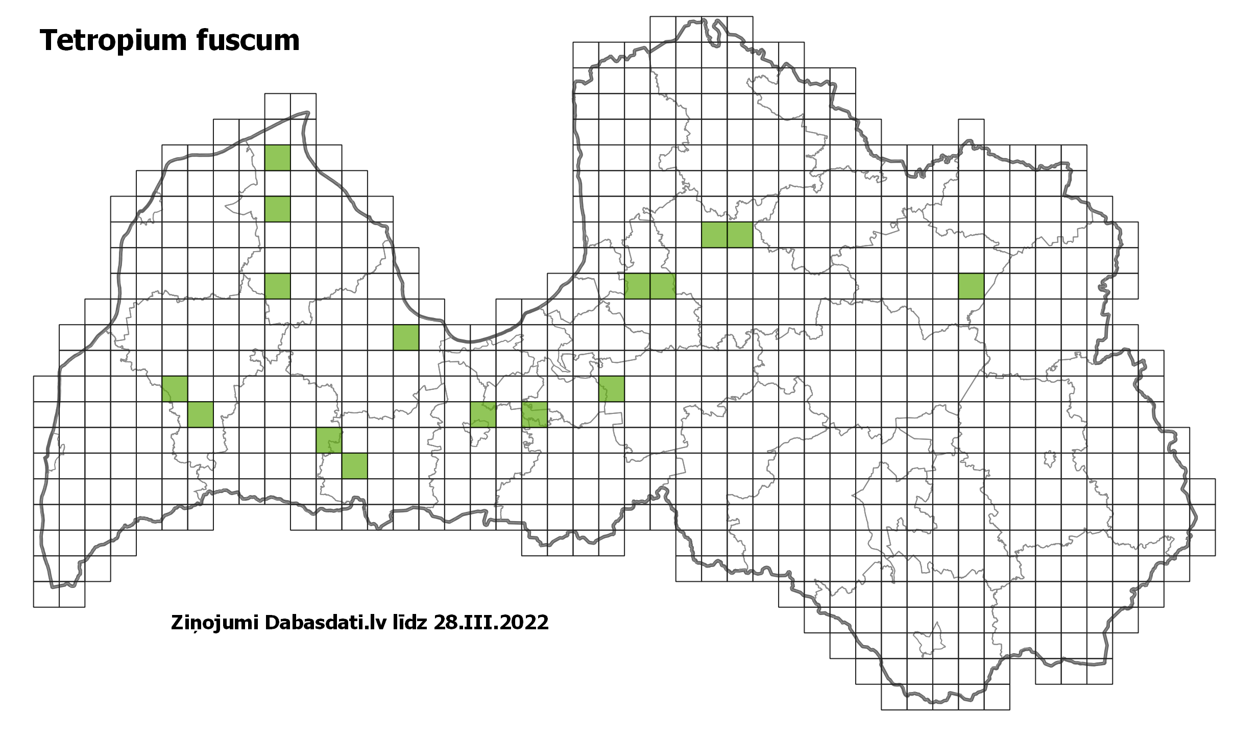 Tetropium fuscum
