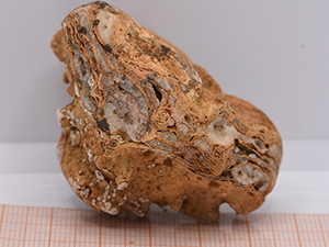 Stromatolīti