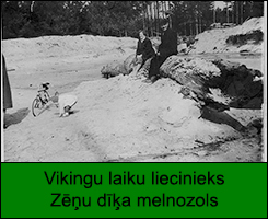Vikingu laiku liecinieks - Zēņu dīķa melnozols