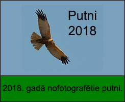 Putni 2018.